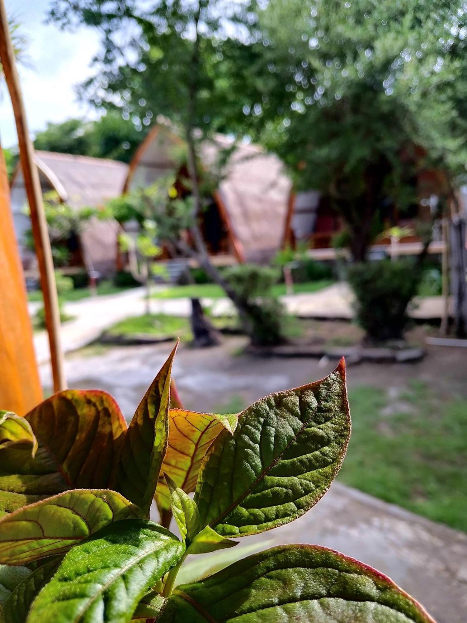 We'Be Cottages Gili Meno Esterno foto